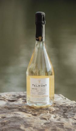 A lifestyle photo of a bottle of Champagne Telmont Blanc de Blancs on a rock, green background