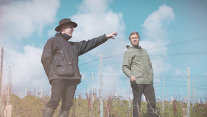 A picture of two men in a sunny day in wineyards
