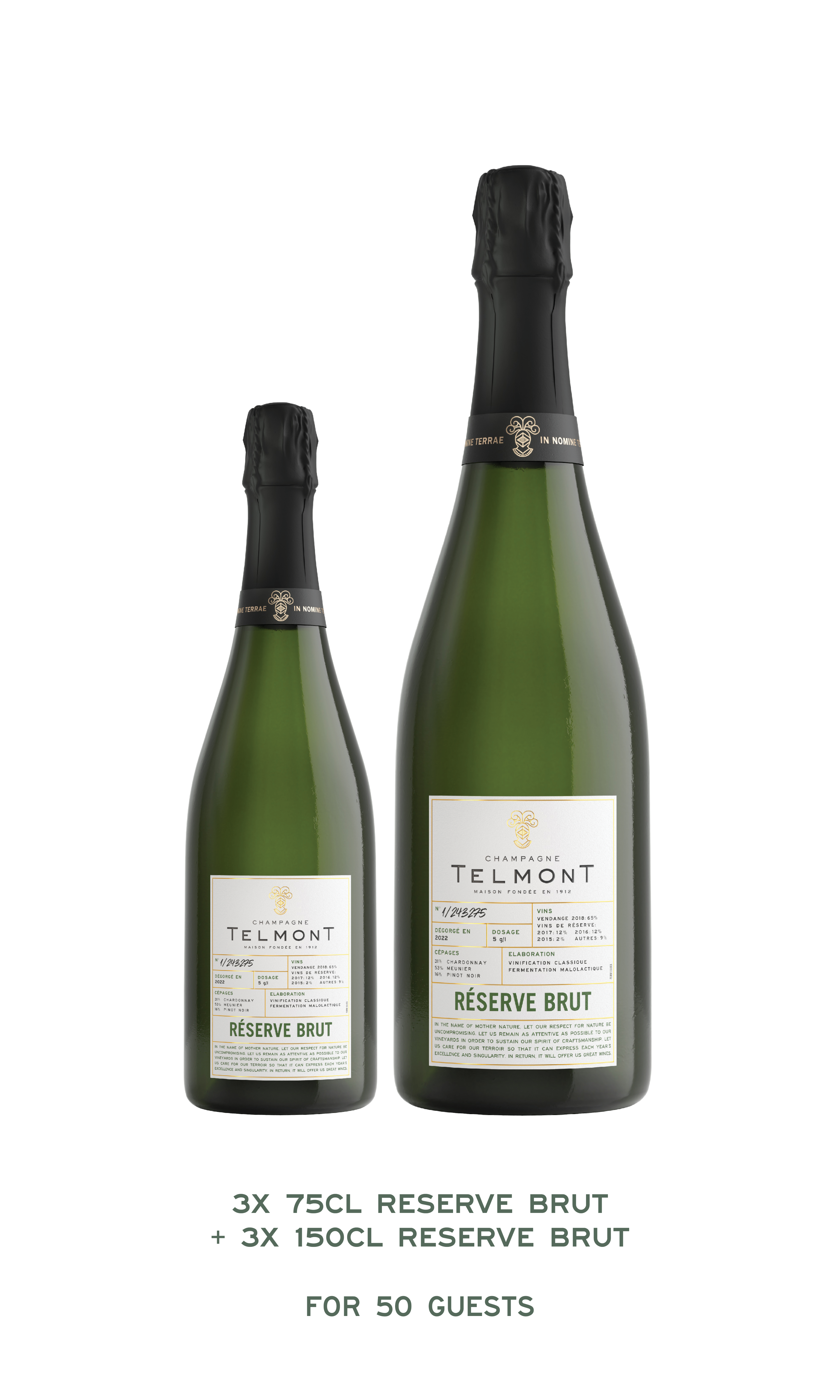 Telmont Wedding package Toasting Package 50 guests