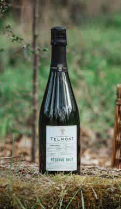 Lifestyle image of a bottle of champagne Reserve Brut in the nature